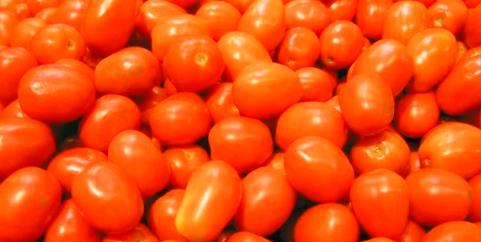 掸邦南部的番茄在曼德勒市场上获得了好价钱